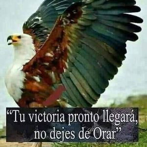 Meet your Posher, Jesus